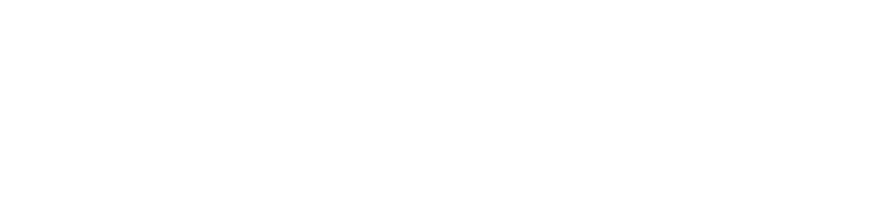 snap echo